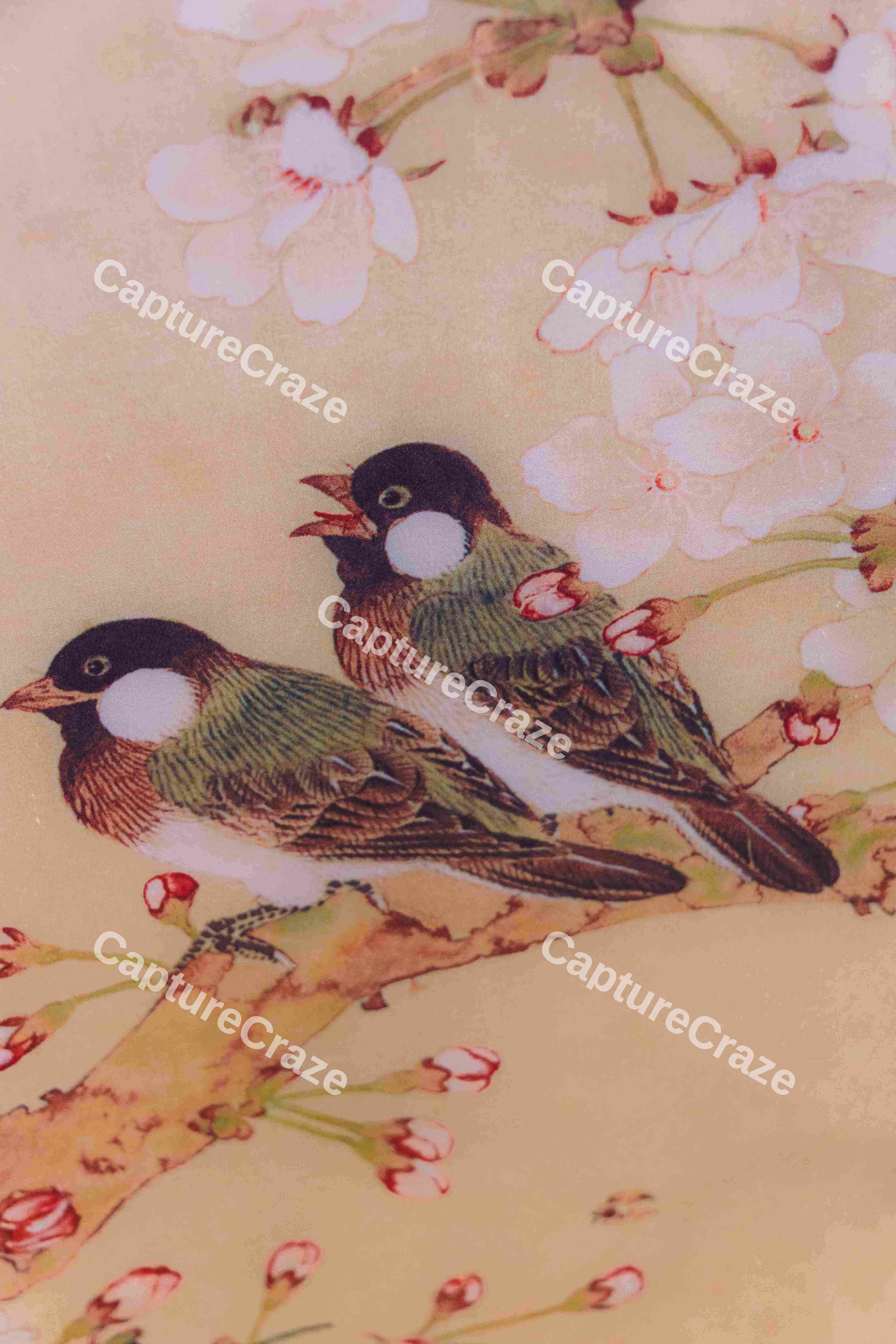 Two Birds